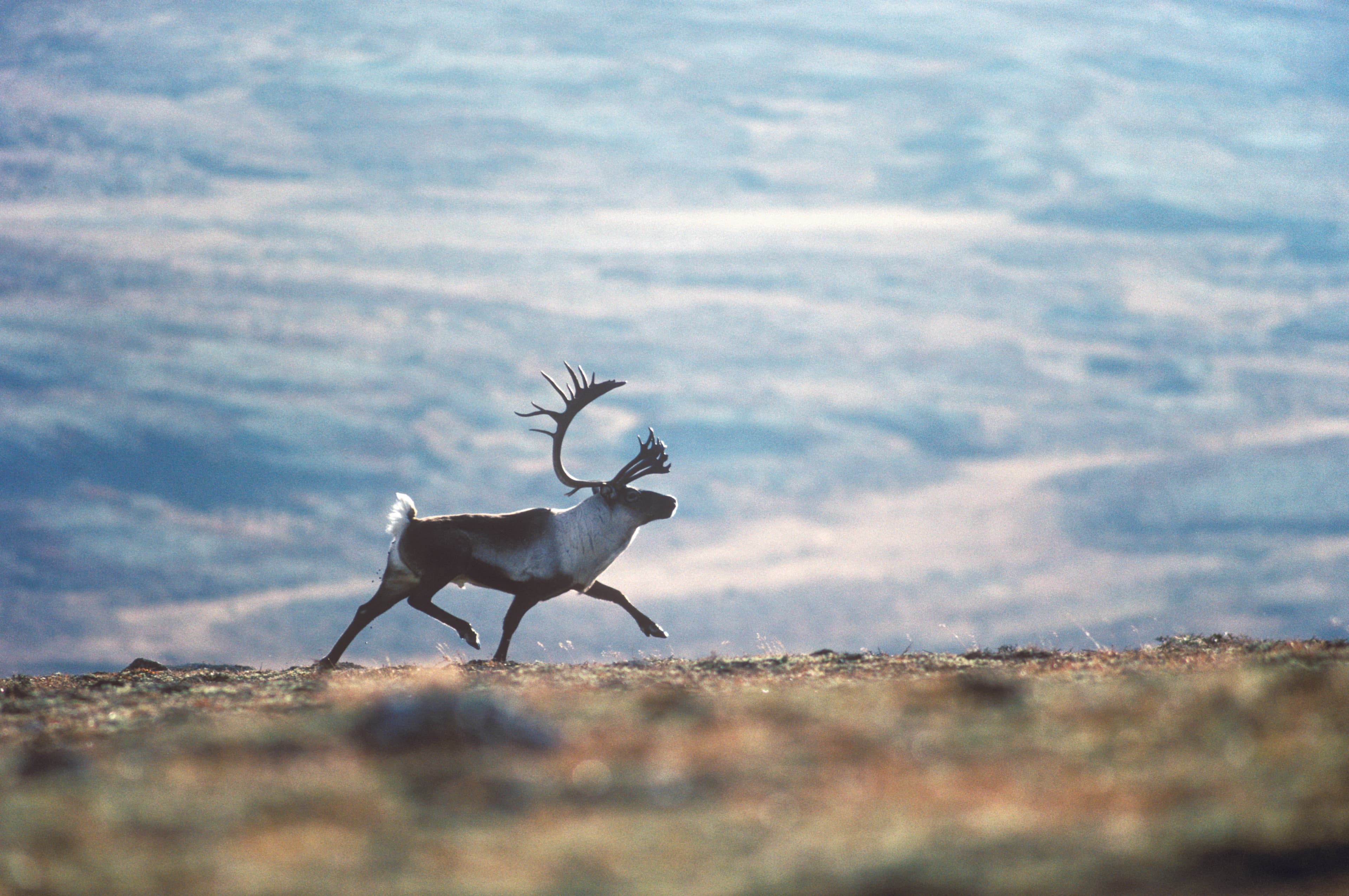 Besøkssenter Hardangervidda Nasjonalpark