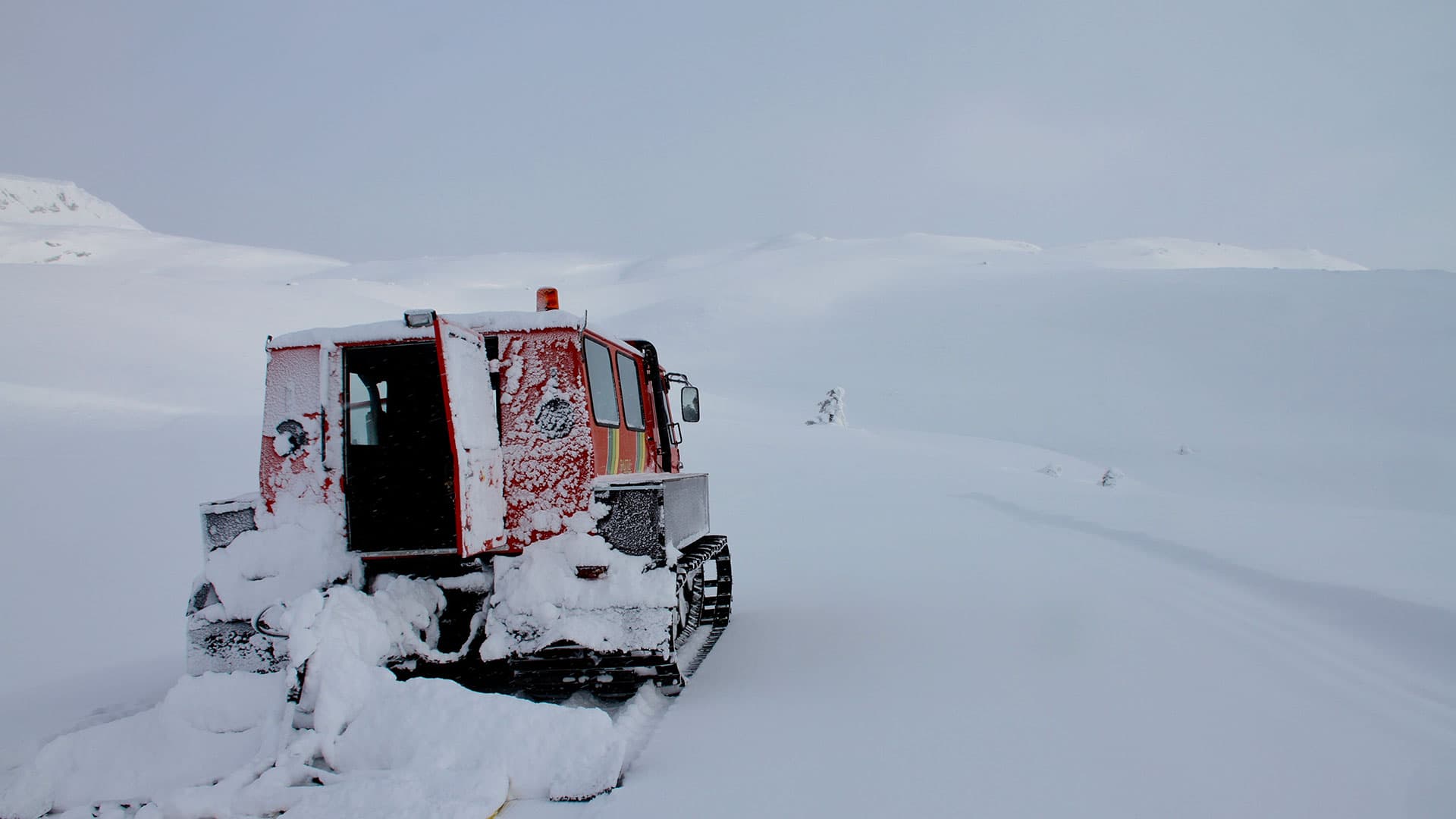 Unik weaseltur på Lifjell