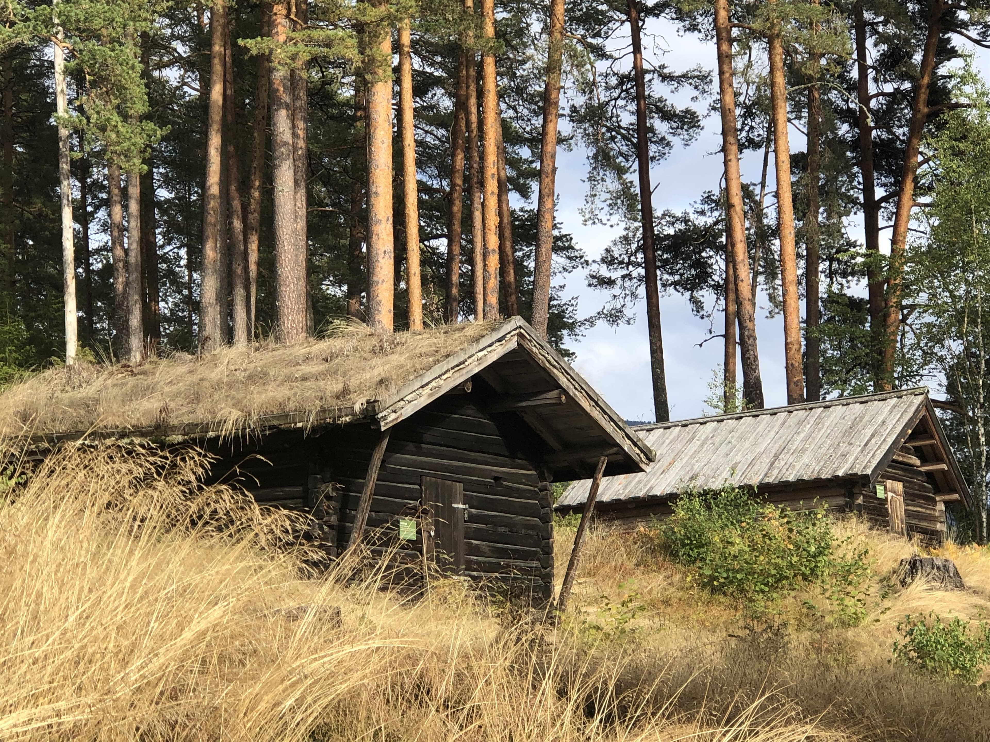 Hovedbilde